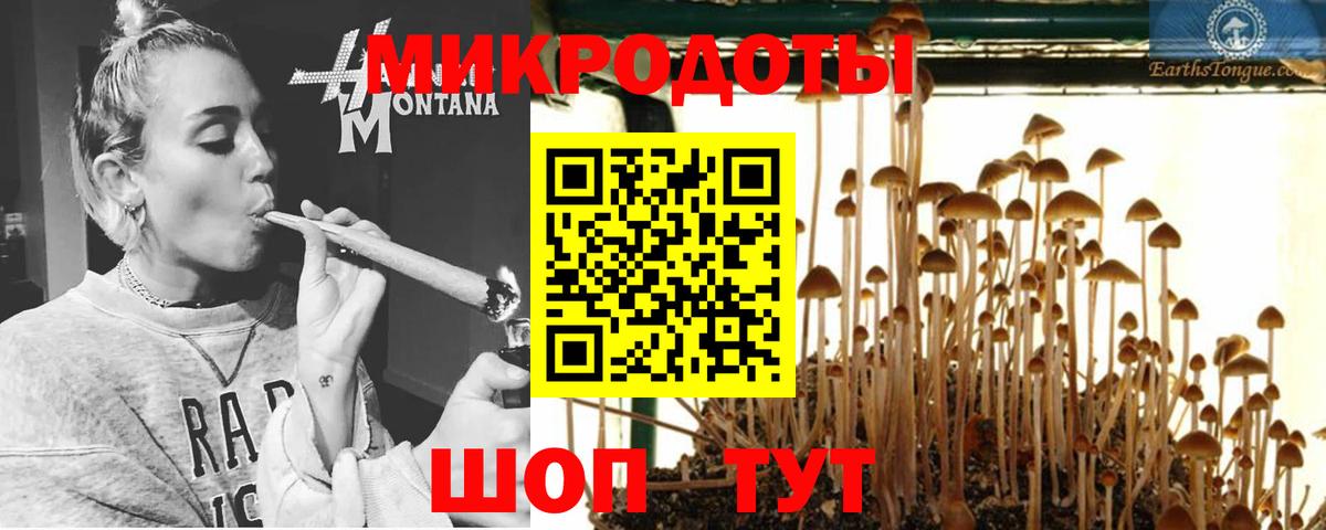 Гусиноозёрск  Псилоцибиновые грибы Psilocybe  Вход с VPN 